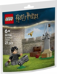 LEGO® HARRY POTTER 30706 Lekcja quidditcha