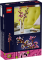 40725_Box5_v140.png