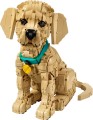 lego-11384-1.jpg